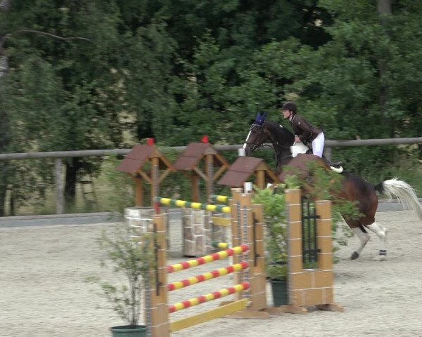 Reitturnier Erkrath - Uhlenhof 2022