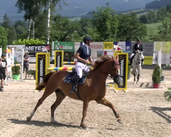Reitturnier Ruswil 2022