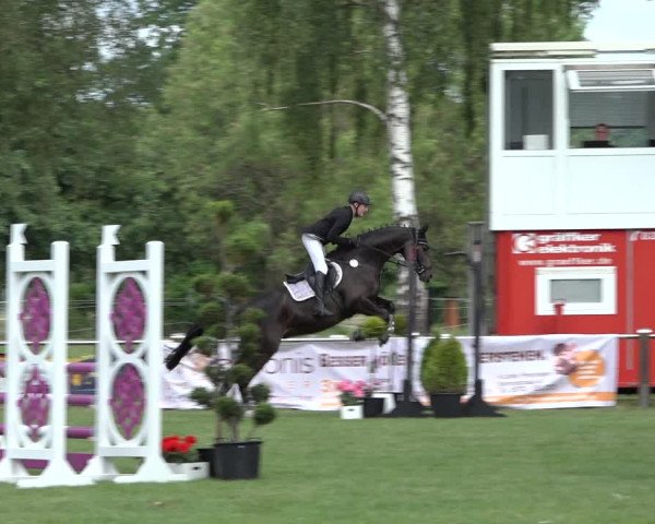 Reitturnier Hille 2022