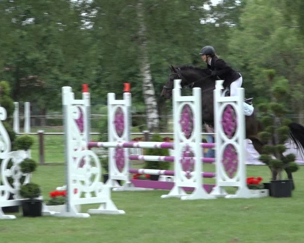 Reitturnier Hille 2022
