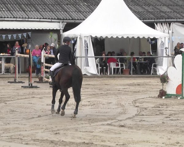 Reitturnier Neunkirchen-City 2021