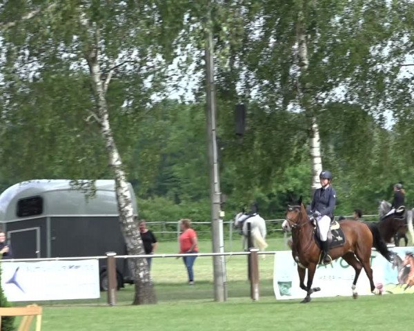 Reitturnier Hille 2022