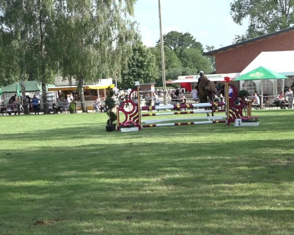 Reitturnier Hille 2022