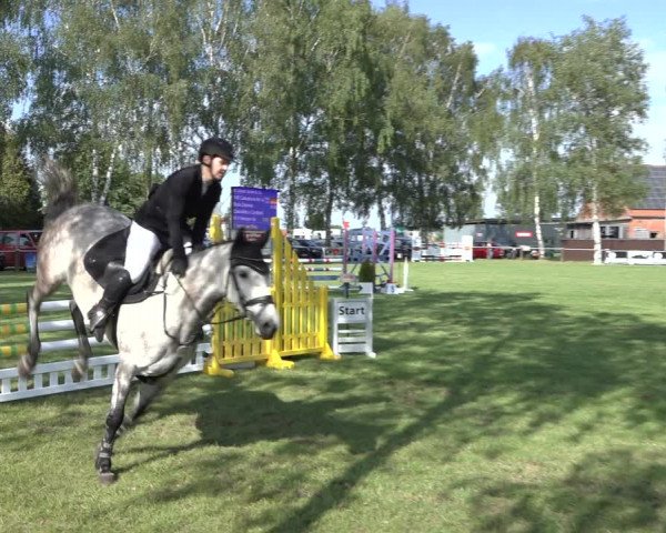 Reitturnier Hille 2022