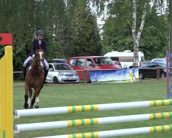 Reitturnier Hille 2022