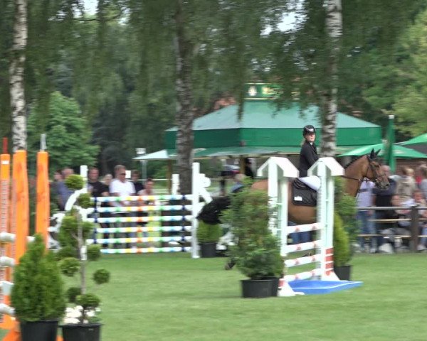 Reitturnier Hille 2022