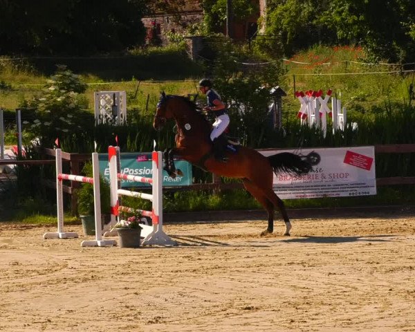 Reitturnier Schönfeld 2022
