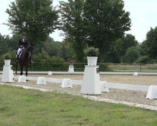 Reitturnier Hille 2022