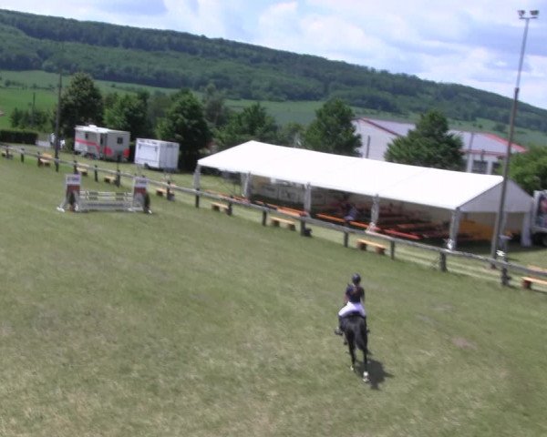 Reitturnier Wingerode 2022
