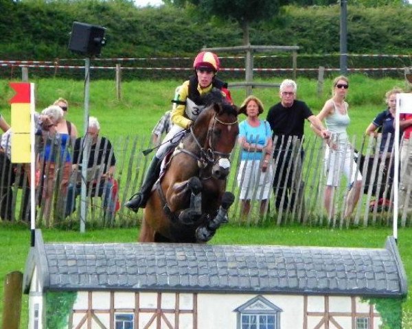 horse Rumour Has It (Holsteiner, 2003, from Esteban xx)
