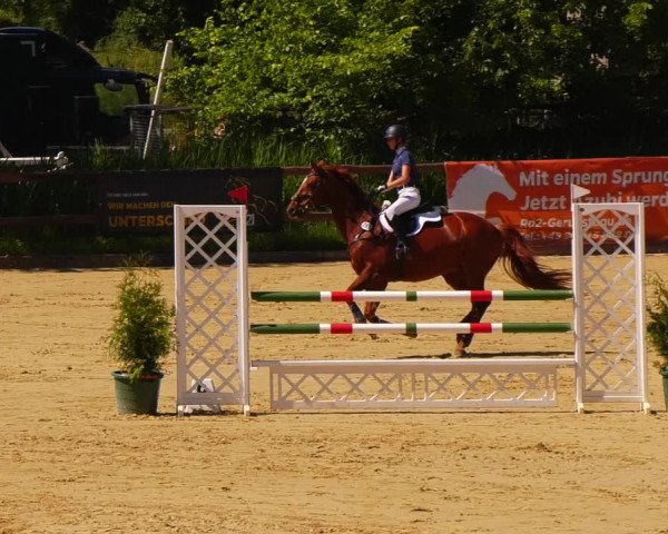 Reitturnier Schönfeld 2022