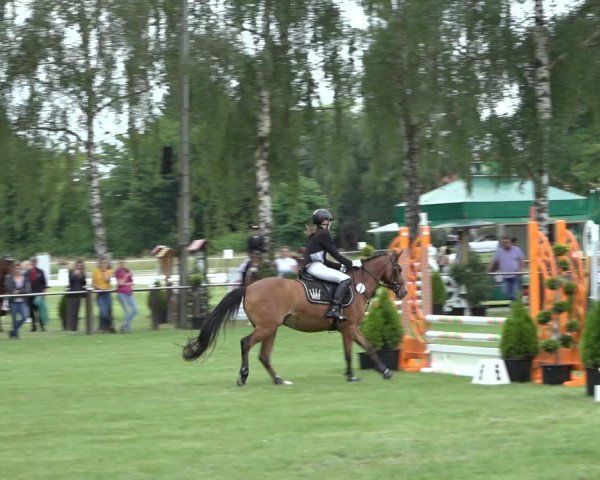 Reitturnier Hille 2022