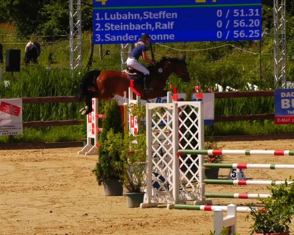 Reitturnier Schönfeld 2022