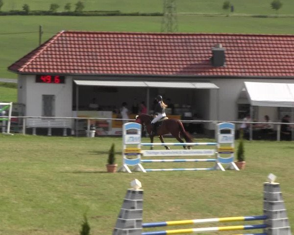 Reitturnier Wingerode 2022