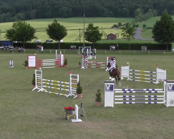 Reitturnier Wingerode 2022