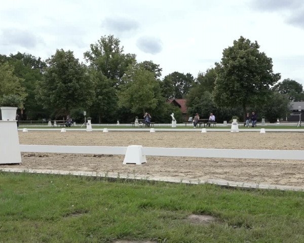 Reitturnier Hille 2022