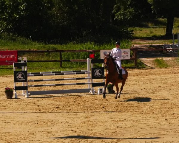 Reitturnier Schönfeld 2022