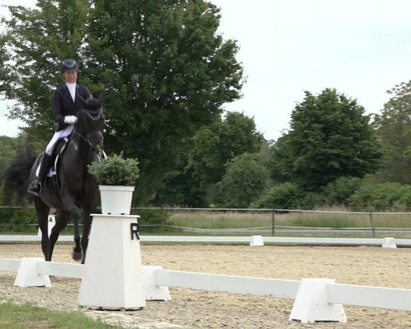 Reitturnier Hille 2022