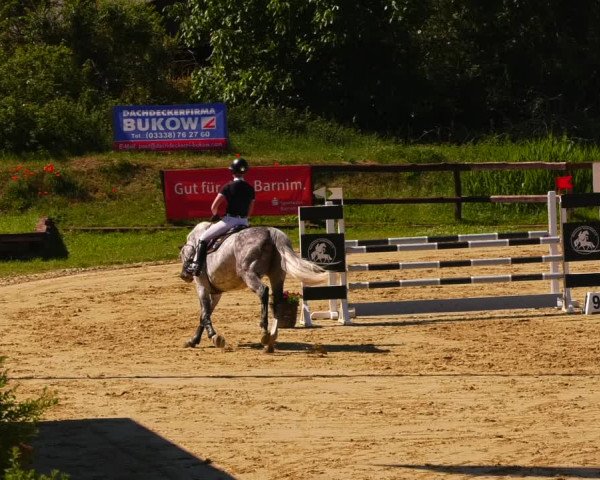 Reitturnier Schönfeld 2022