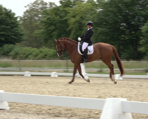 Reitturnier Hille 2022