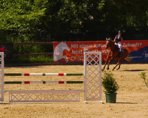 Reitturnier Schönfeld 2022