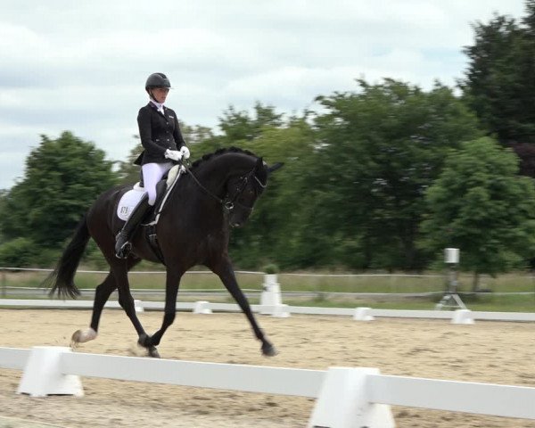 Reitturnier Hille 2022