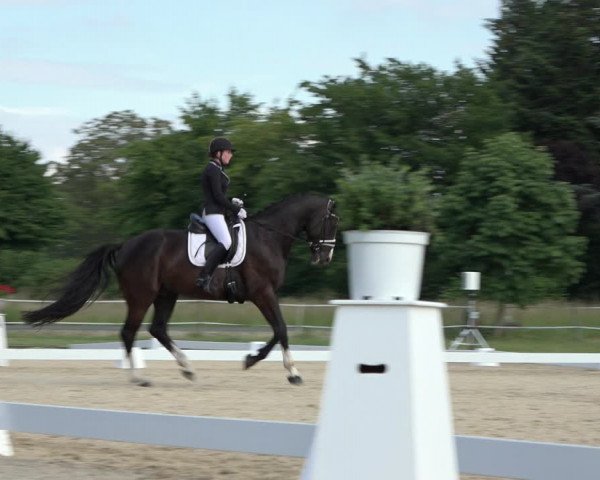 Reitturnier Hille 2022