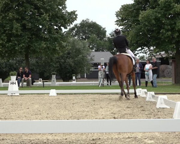 Reitturnier Hille 2022