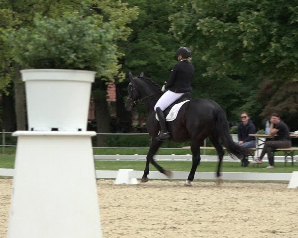 Reitturnier Hille 2022