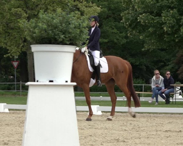 Reitturnier Hille 2022