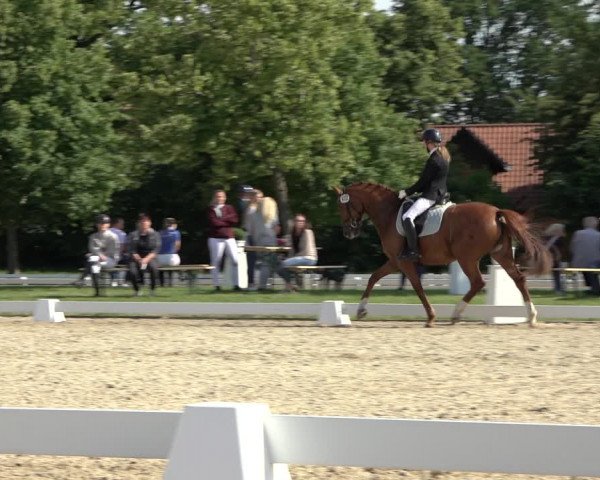 Reitturnier Hille 2022