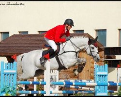 stallion Corvallo (Holsteiner, 1998, from Coriano)