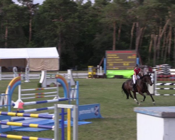 Reitturnier Wörmlitz 2022