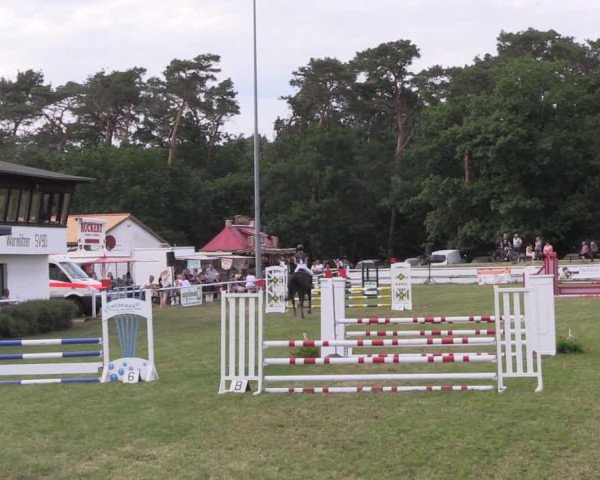 Reitturnier Wörmlitz 2022