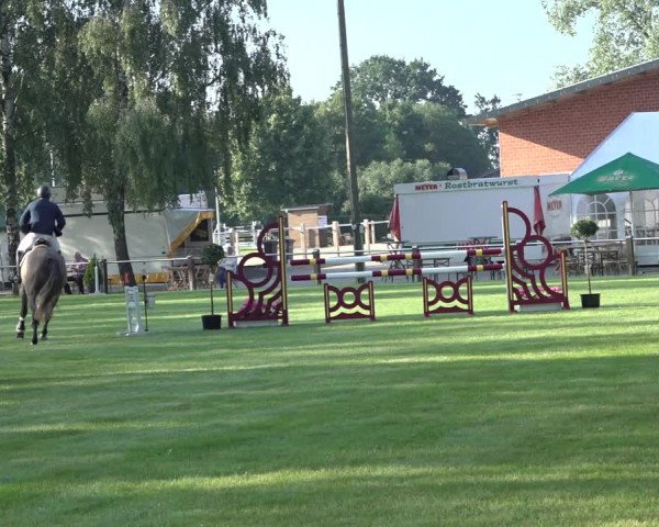 Reitturnier Hille 2022