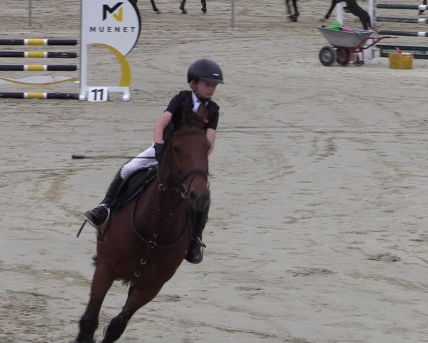 Reitturnier Ascheberg 2022
