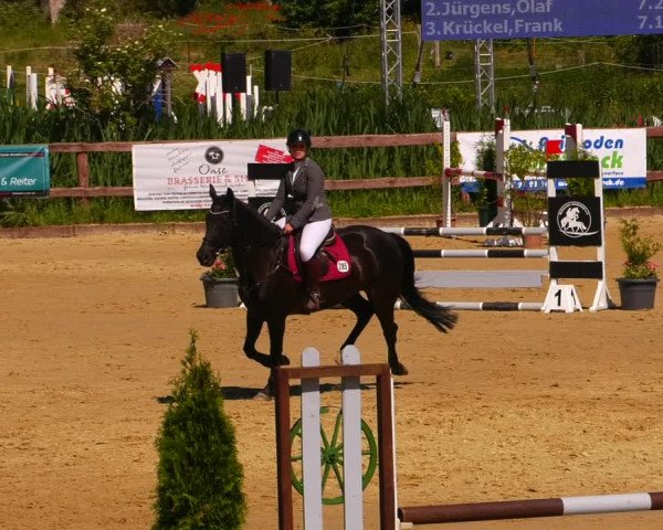 Reitturnier Schönfeld 2022