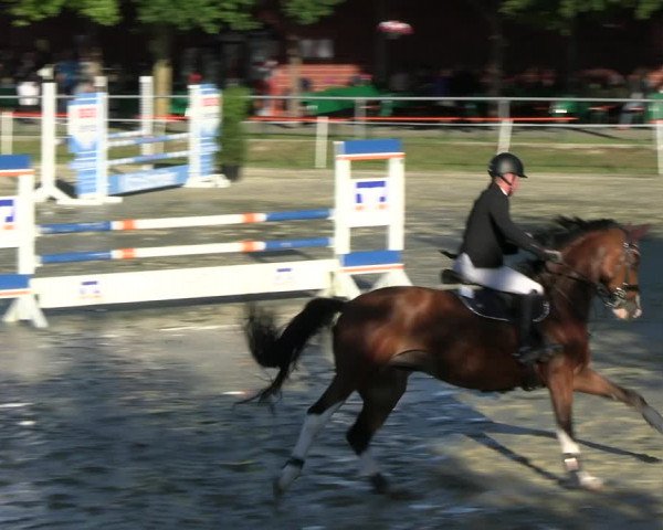 Reitturnier Ascheberg 2022
