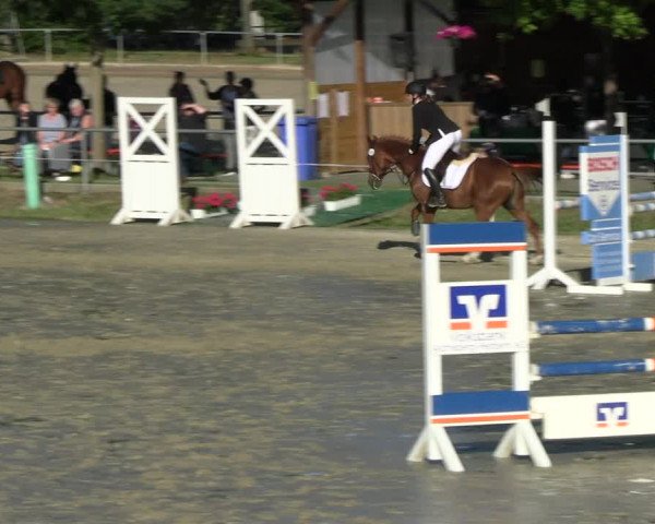 Reitturnier Ascheberg 2022