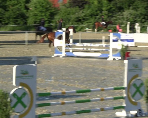 Reitturnier Ascheberg 2022
