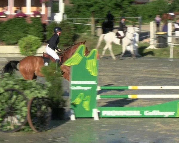 Reitturnier Ascheberg 2022