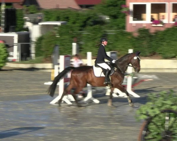 Reitturnier Ascheberg 2022
