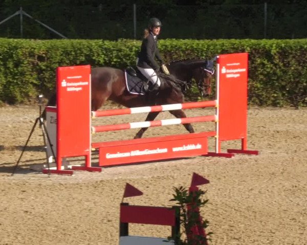 Reitturnier Böblingen 2022
