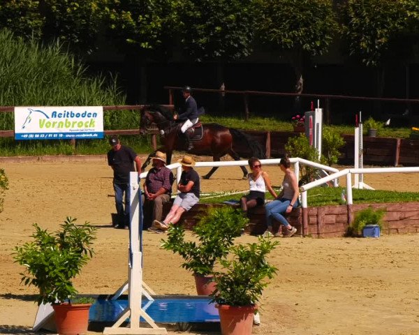Reitturnier Schönfeld 2022