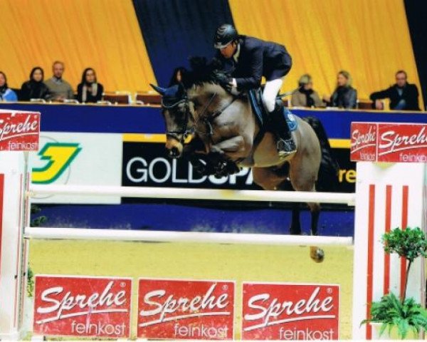 jumper Cassius 56 (Holsteiner, 2003, from Canturo)