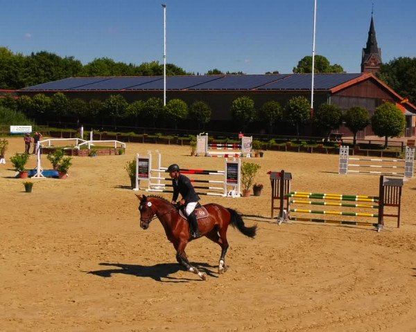 Reitturnier Schönfeld 2022