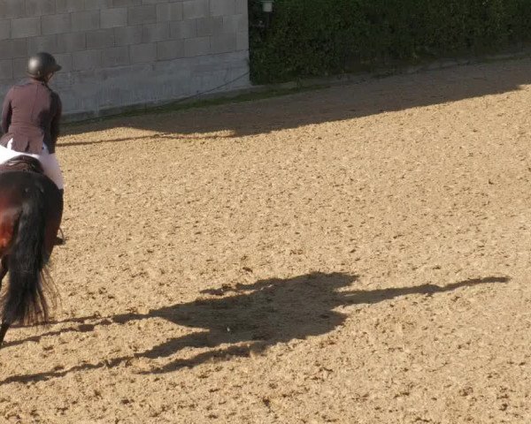 Reitturnier Böblingen 2022