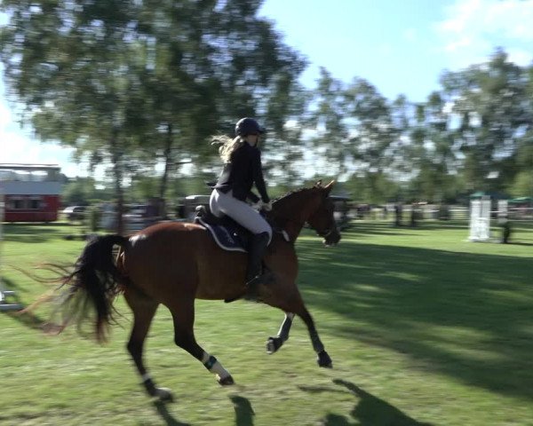 Reitturnier Hille 2022
