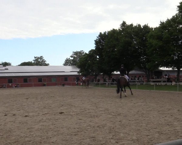 Reitturnier Ascheberg 2022