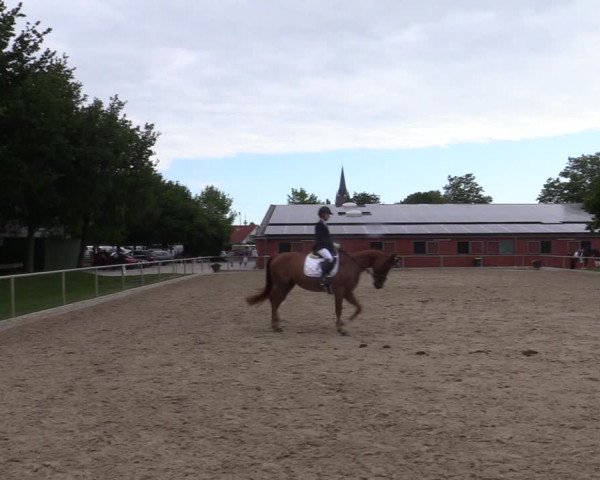 Reitturnier Ascheberg 2022